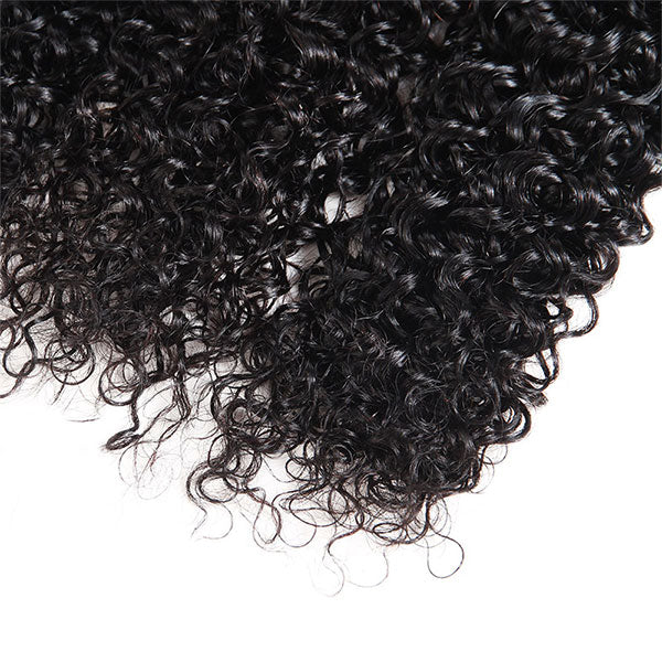 Natural Black Kinky Curly Hair With Defined, Shiny Curls for Extensions