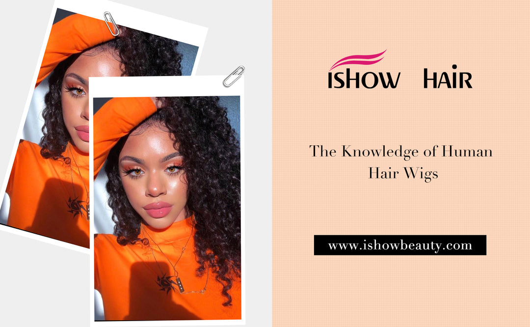 The Knowledge of Human Hair Wigs - IshowHair