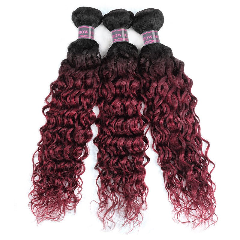 Seamless T1B to 99J Ombre - From Deep Natural Black to Vibrant Burgundy. The Perfect Gradient for a Bold, Stylish Statement
