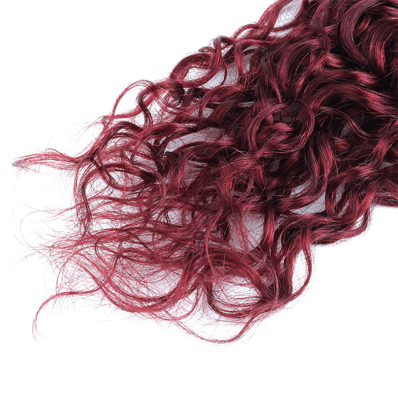 Seamless T1B to 99J Ombre - From Deep Natural Black to Vibrant Burgundy. The Perfect Gradient for a Bold, Stylish Statement
