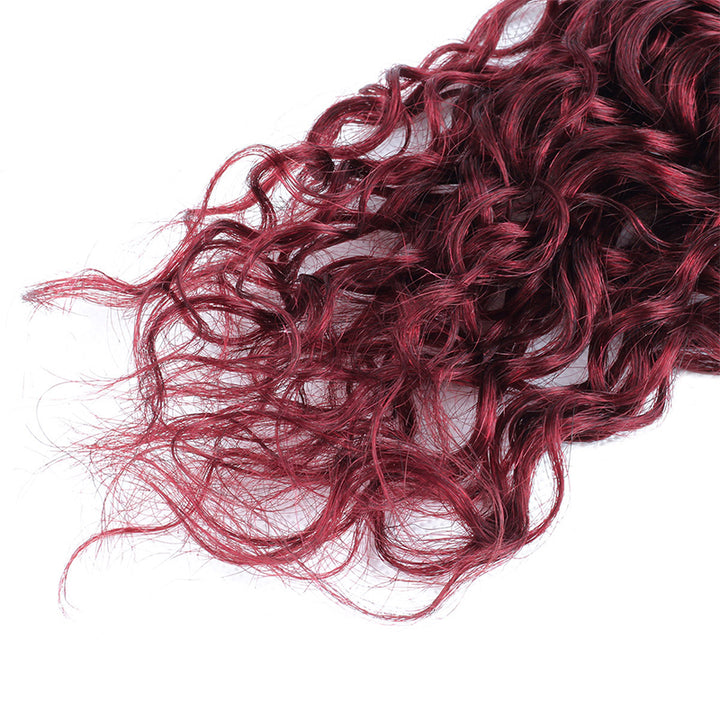 Seamless T1B to 99J Ombre - From Deep Natural Black to Vibrant Burgundy. The Perfect Gradient for a Bold, Stylish Statement
