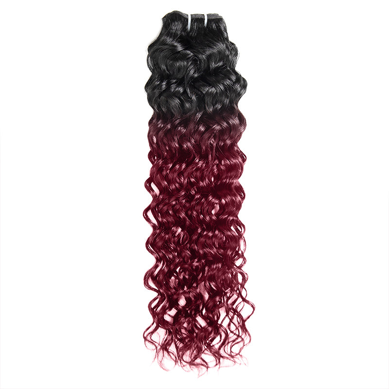 Seamless T1B to 99J Ombre - From Deep Natural Black to Vibrant Burgundy. The Perfect Gradient for a Bold, Stylish Statementc