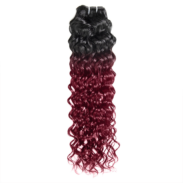 Seamless T1B to 99J Ombre - From Deep Natural Black to Vibrant Burgundy. The Perfect Gradient for a Bold, Stylish Statementc