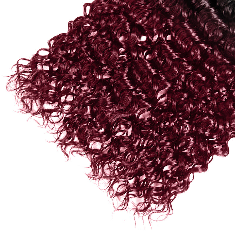 Seamless T1B to 99J Ombre - From Deep Natural Black to Vibrant Burgundy. The Perfect Gradient for a Bold, Stylish Statement