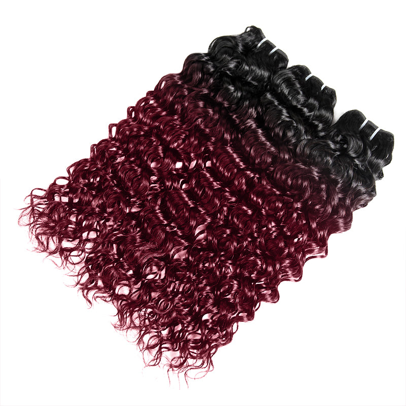 Seamless T1B to 99J Ombre - From Deep Natural Black to Vibrant Burgundy. The Perfect Gradient for a Bold, Stylish Statement