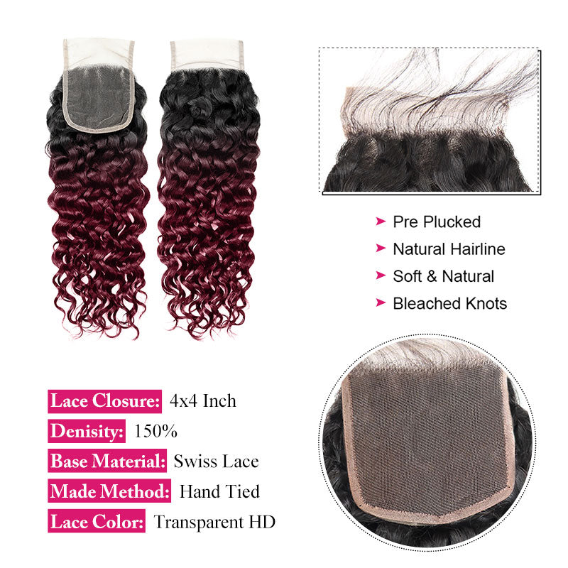 Seamless T1B to 99J Ombre - From Deep Natural Black to Vibrant Burgundy. The Perfect Gradient for a Bold, Stylish Statement