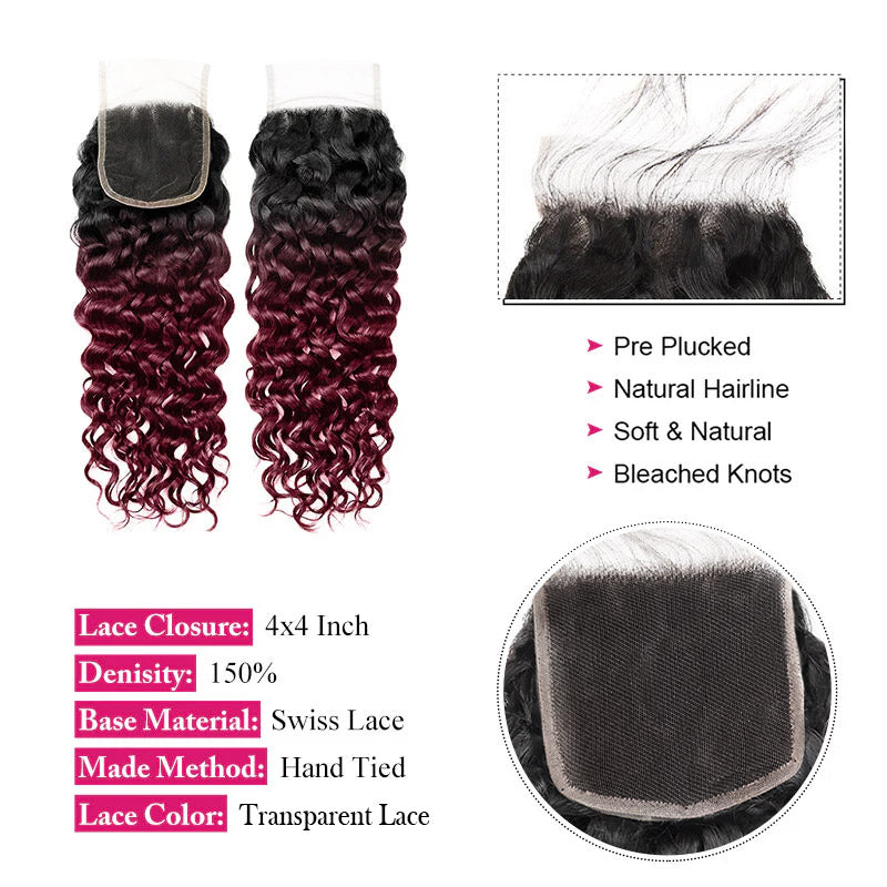 Seamless T1B to 99J Ombre - From Deep Natural Black to Vibrant Burgundy. The Perfect Gradient for a Bold, Stylish Statement